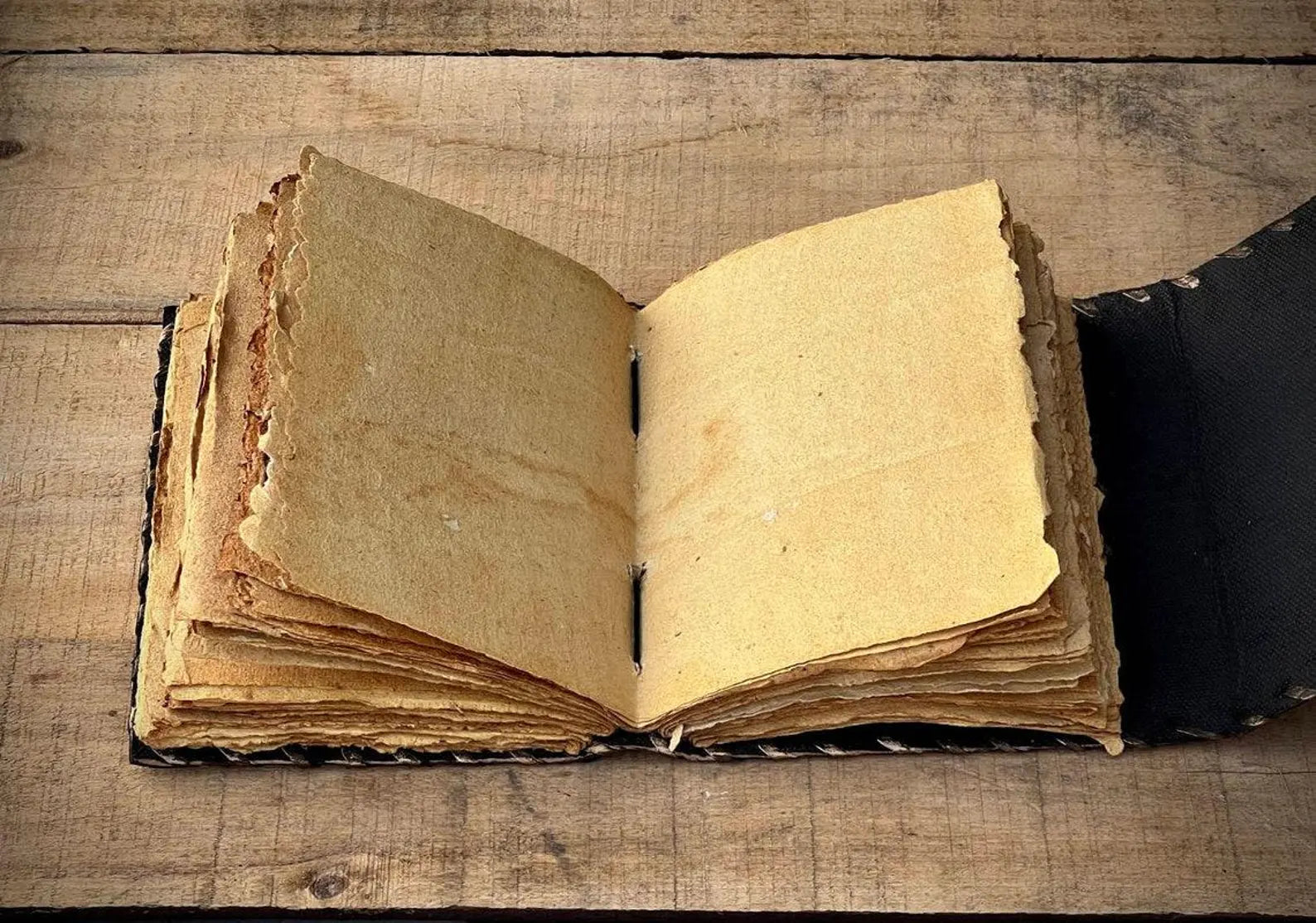 Hocus pocus spell book, book of shadows